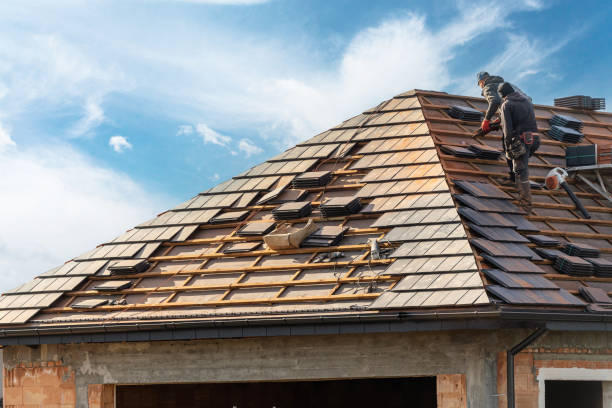 Best Roof Moss and Algae Removal  in Sacramento, CA